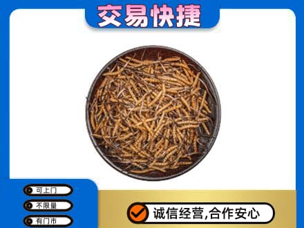 衡阳市祁东高价回收散虫草